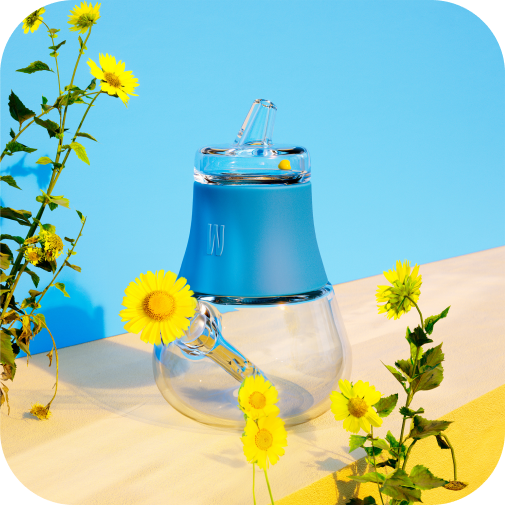 AD0006-V1.webp1x
